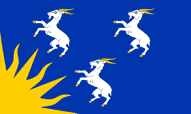 Merionethshire Table Flags